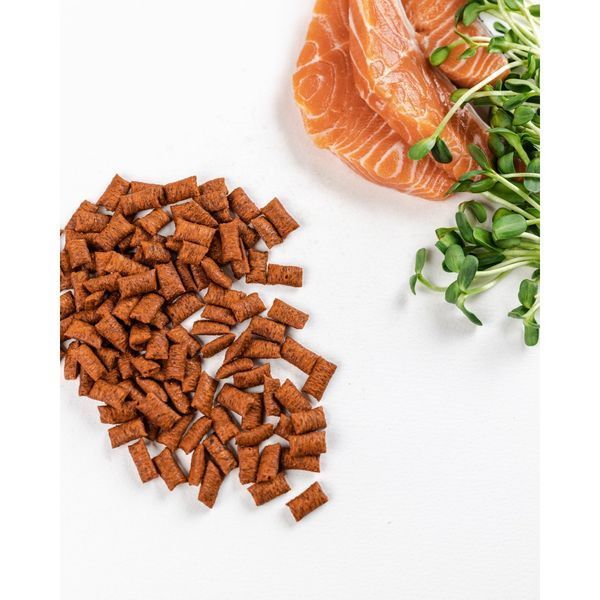 Хрумкі ласощі Savory Cats Snacks Pillows Gourmand with Salmon для дорослих вибагливих котів подушечки з лососем 60 г 1111171668 фото