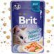 Корм вологий Brit Premium Cat Salmon Fillets Jelly pouch для котів філе лосося в желе 85 г 1111146984 фото 1