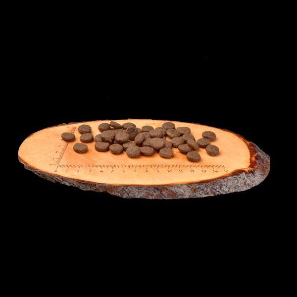 Корм сухий Carnilove Puppy Large Breed Salmon and Turkey для цуценят великих порід з лососем та індичкою 1,5 кг 1111145084 фото
