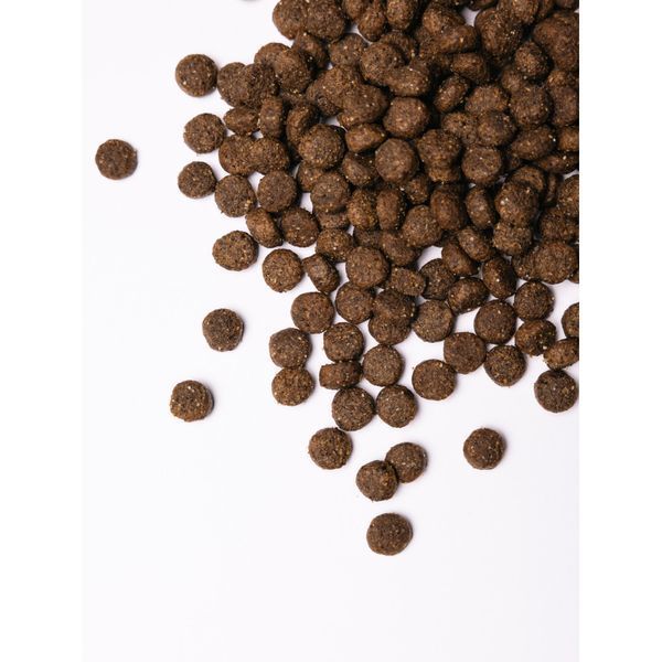 Корм сухий Savory Medium Breed rich in Fresh Turkey and Lamb для дорослих собак середніх порід від 10 до 25 кг зі свіжим ягн 1111162978 фото