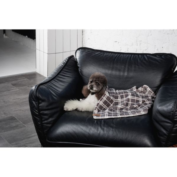 Плед Pet Fashion Bliss 2 для собак і котів плюш сірий картатий 70,5х94 см 1111195191 фото