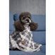 Плед Pet Fashion Bliss 2 для собак і котів плюш сірий картатий 70,5х94 см 1111195191 фото 10