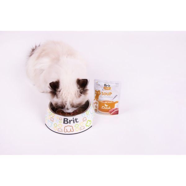 НАБІР Корм вологий Brit Care Soup Duck д/котів суп качка 75 г 15 шт 1111185950 фото