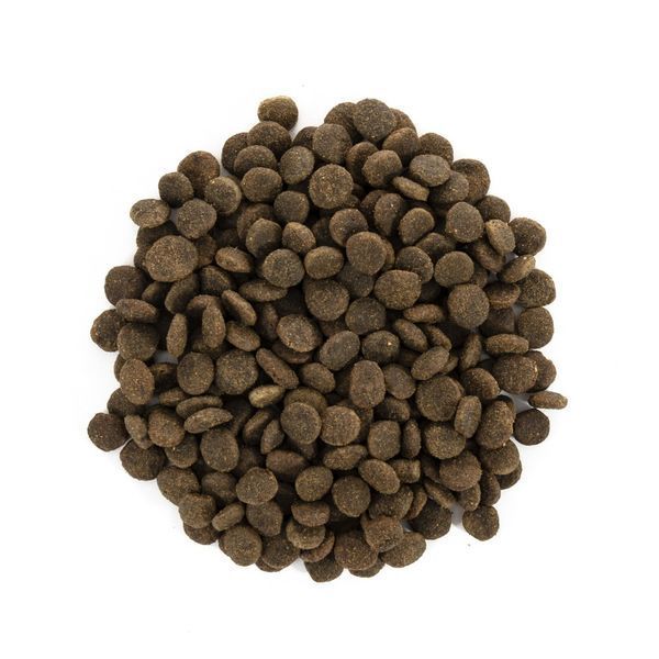 Корм сухий Brit Care Cat Grain Free Sterilized Sensitive для стерилізованих котів з чутливим травленням з кроликом 400 г 1111162359 фото