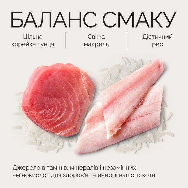 Корм вологий Savory Tuna Fillets rich in Mackerel in Jelly for Adult Cats філе тунця з макреллю в желе для дорослих котів, 7 1111195603 фото