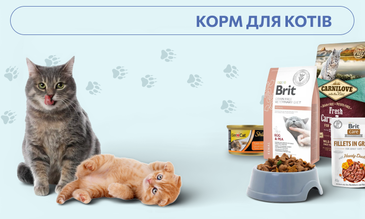 Корм для котів