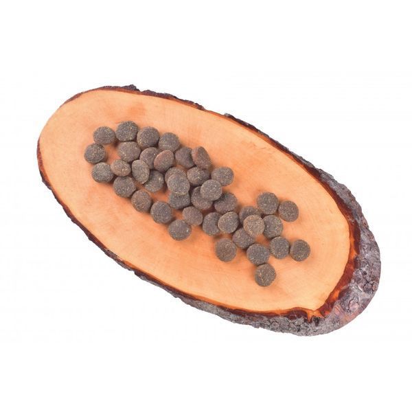 Корм сухий Carnilove True Fresh Turkey for Adult dogs для дорослих собак усіх порід з індичкою 11,4 кг 1111167493 фото