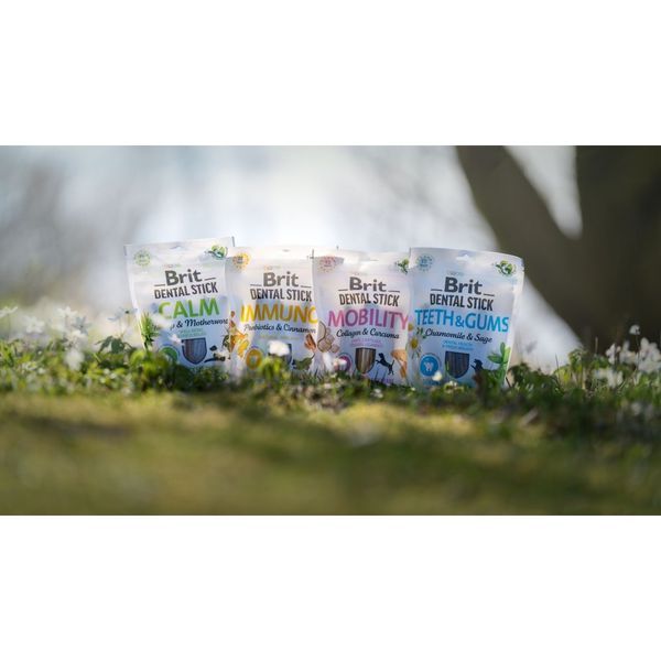 Ласощі Brit Dental Stick Teeth and Gums для дорослих собак з ромашкою та шавлією для здоров я ясен і зубів 7 шт 251 г 1111174803 фото