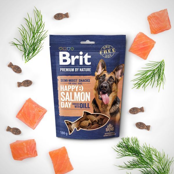 Ласощі Brit Premium Semi-moist Snacks Salmon with Dill напіввологі д/cобак з лососем і кропом 180 г 1111196077 фото