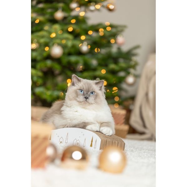 Кігтеточка-хвиля Trixie для котів Різдвяна кортонна біло-золота 43,5х8х20 см 1111214673 фото