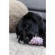 Іграшка Trixie для цуценят Кільце Junior латекс 8 см 1111115845 фото 10