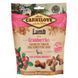 Ласощі Carnilove Dog Crunchy Snack Lamb with Cranberries для собак для міцного імунітету з ягнятиною та журавлиною 200 г 1111153871 фото 1