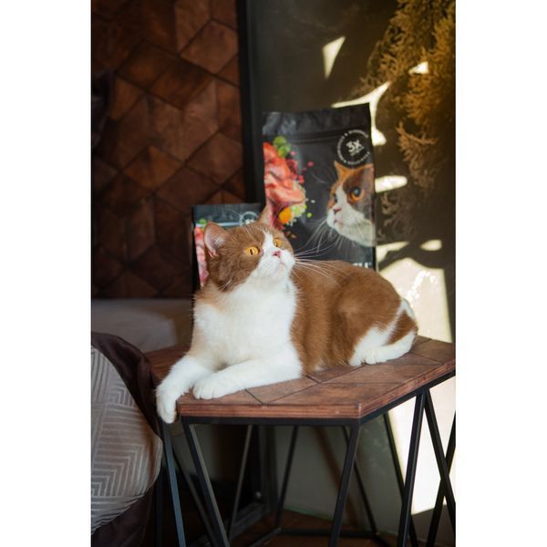 Корм сухий Savory Adult Cat Sensitive Digestion Fresh Lamb and Turkey для дорослих котів з чутливим травленням зі свіжою ягн 1111163000 фото