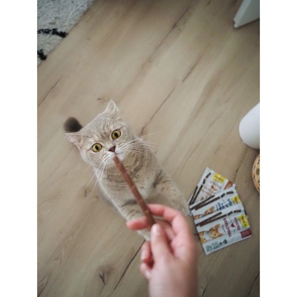 Ласощі GimCat м&rsquo;ясні палички для котів з індичкою та кроликом 4 шт 1111130024 фото