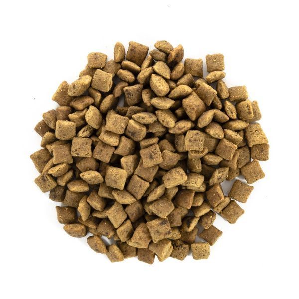 Корм сухий Brit Care Cat Grain Free Senior Weight Control для котів похилого віку з надмірною вагою з куркою 7 кг 1111162375 фото