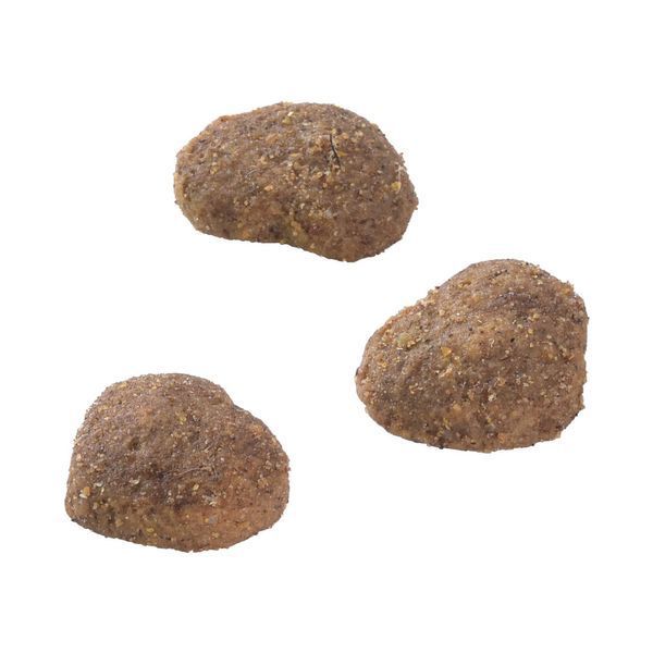 Ласощі Brit Care Superfruits Snack Lamb д/котів з ягням і кокосом 100 г 1111180639 фото