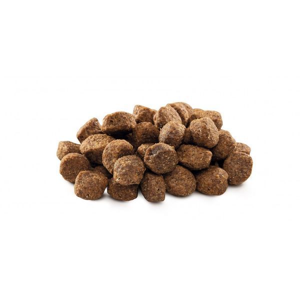 Корм сухий Brit Premium Dog Senior S+M для собак дрібних та середніх порід похилого віку вагою 1-25 кг з куркою 3 кг 1111150958 фото