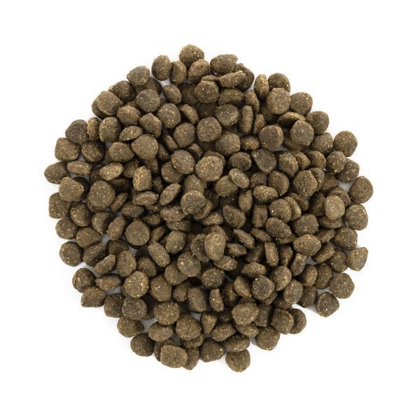 Корм сухий Brit Care Grain Free Mini Adult Lamb для дорослих собах мініатюрних порід з ягням 2 кг 1111148812 фото