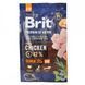 Корм сухий Brit Premium Dog Senior S+M для собак дрібних та середніх порід похилого віку вагою 1-25 кг з куркою 3 кг 1111150958 фото 4