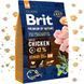 Корм сухий Brit Premium Dog Senior S+M для собак дрібних та середніх порід похилого віку вагою 1-25 кг з куркою 3 кг 1111150958 фото 1