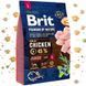 Корм сухий Brit Premium Dog Junior L для цуценят та молодих собак великих порід від 1 до 24 місяців вагою 25-45 кг з куркою 1111150961 фото 1