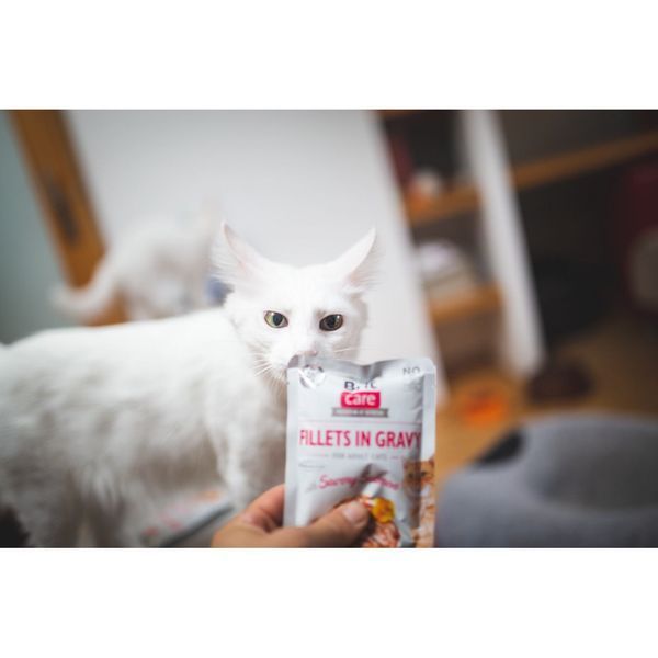 Корм вологий Brit Care Fillets in Gravy Savory Salmon д/котів філе в соусі з пікантним лососем 85 г 1111162663 фото