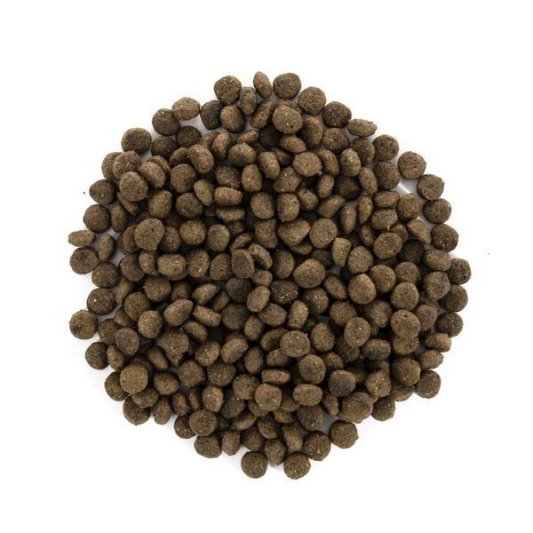Корм сухий Brit Care Grain Free Mini Light and Sterilised для дорослих собак дрібних порід з зайвою вагою чи стерилізованих 1111148827 фото